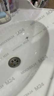 Паук в доме