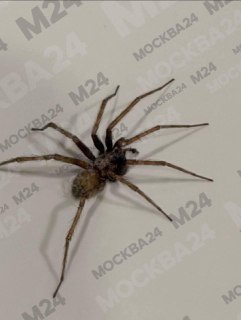 Иллюстрация 2