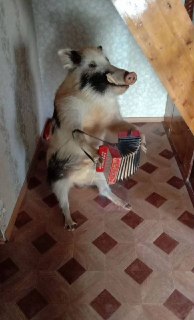 Иллюстрация 2