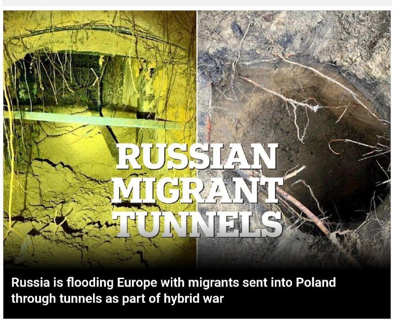 Иллюстрация 3