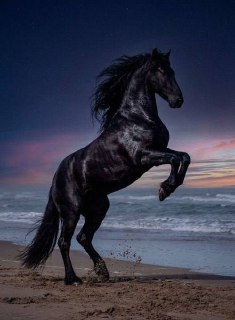 Иллюстрация 5