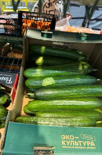 Иллюстрация 2