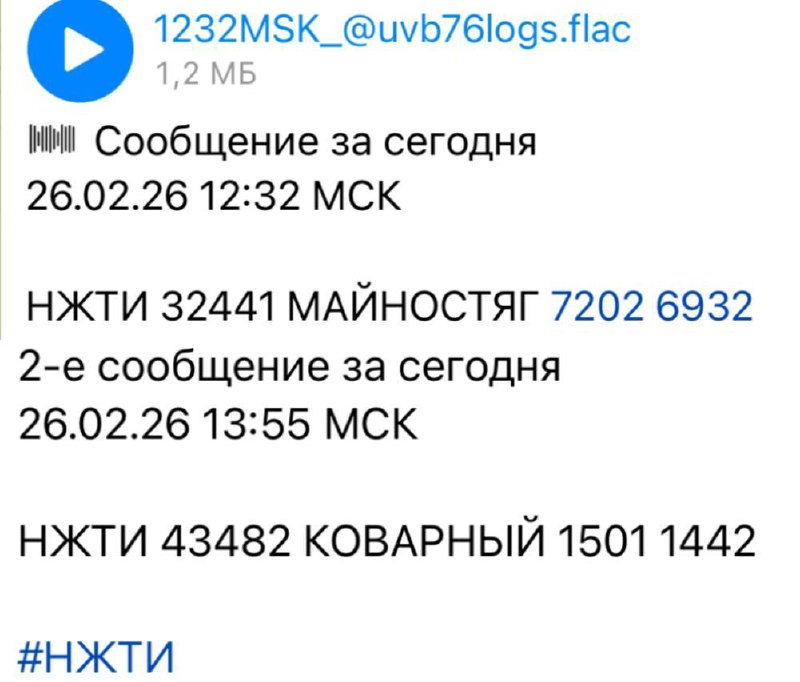 Загадочные сообщения с радиостанции «Жужжалка»
