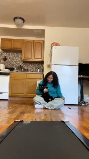 Кот Арчи вдохновляет на занятия спортом