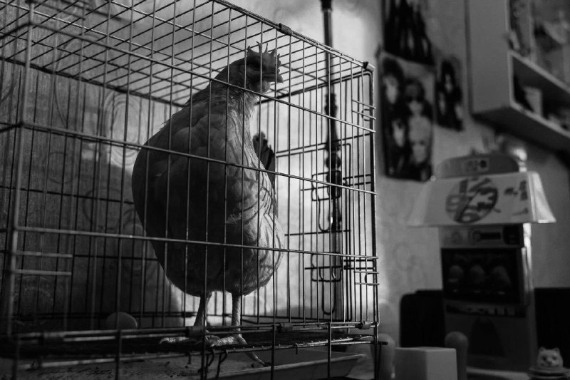 Иллюстрация 4