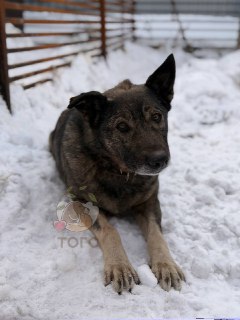 Иллюстрация 3