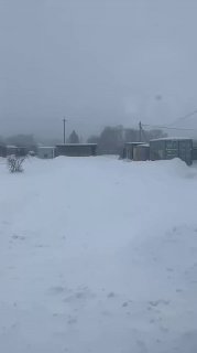 Приют для животных нуждается в помощи