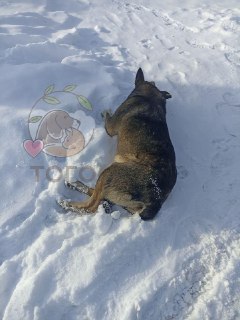 Иллюстрация 2