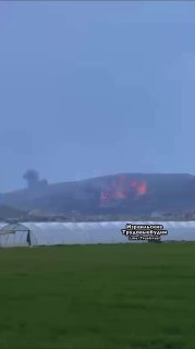 Иллюстрация 2