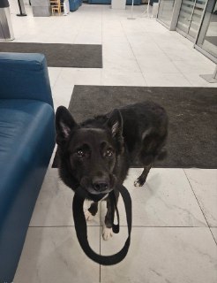 Иллюстрация 6