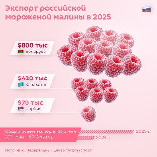 Рост экспорта российской малины в страны ближнего зарубежья
