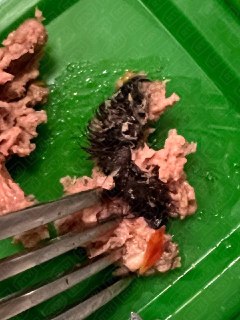 Иллюстрация 3