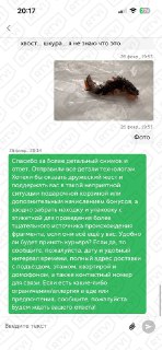 Иллюстрация 4