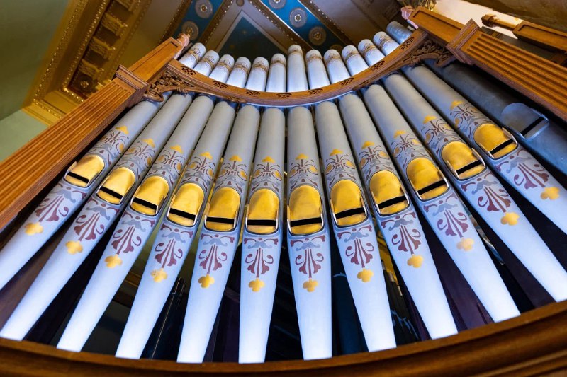 Иллюстрация 5