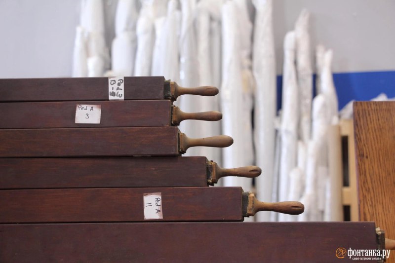 Иллюстрация 1