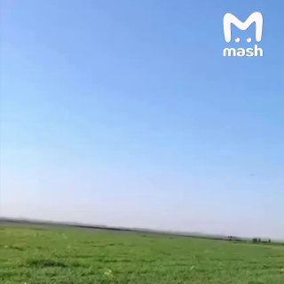 Иллюстрация 1