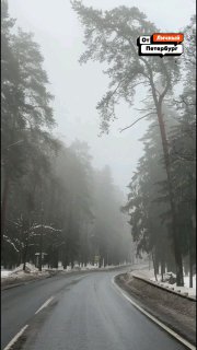 Медитативная поездка по затуманенному Приморскому шоссе