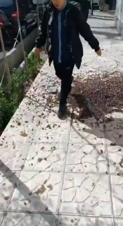 Иллюстрация 2