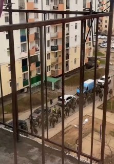 Люди Z поддерживают российских военнослужащих