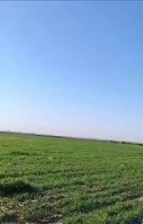 Трамп не согласовал удары по Ирану с конгрессом