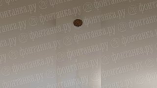 Массовые протечки крыш в Петербурге из-за потепления