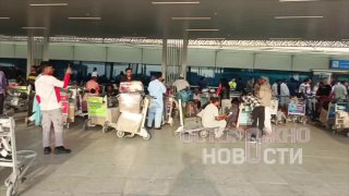 Иллюстрация 1