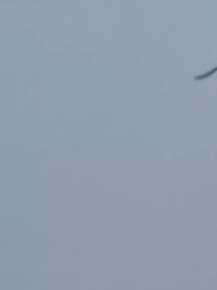 Иллюстрация 2