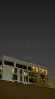 Иллюстрация 1