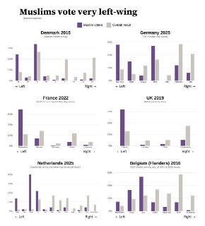 Влияние иммиграции на выборы в Европе