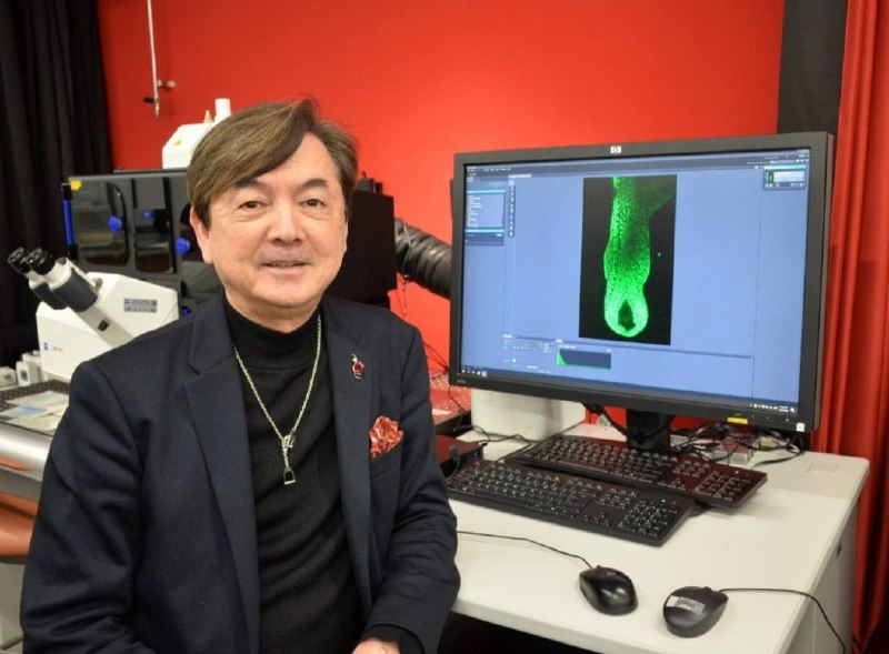 Японские ученые нашли способ победить облысение