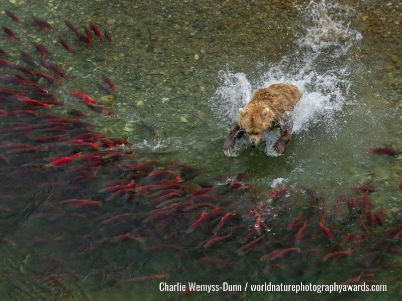 Иллюстрация 3