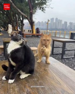 Иллюстрация 1