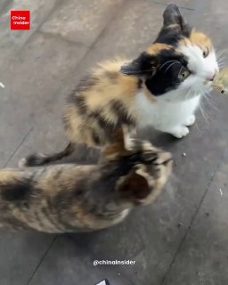 Иллюстрация 2