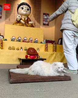 Иллюстрация 4