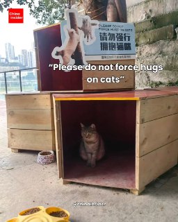 Иллюстрация 5