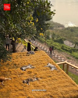 Иллюстрация 6