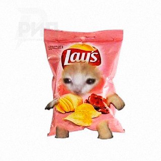 В России вводят ГОСТ на чипсы