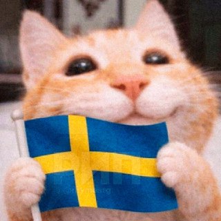 В Швеции ужесточили правила содержания кошек