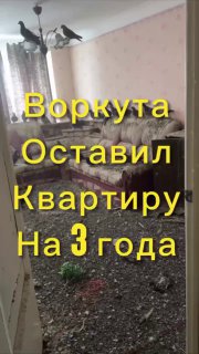 Голубиный мегаполис в квартире жителя Воркуты