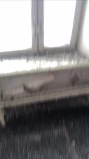 Иллюстрация 1