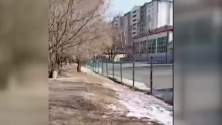 Стрельба возле школы в Уссурийске