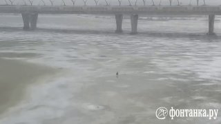 Мода и одиночество на Финском заливе