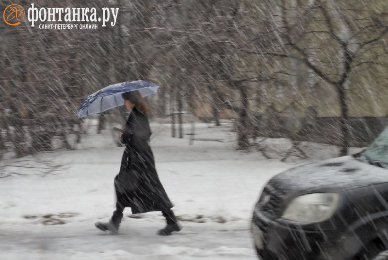 Иллюстрация 3