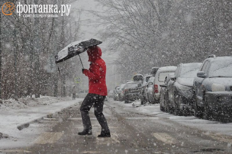 Иллюстрация 4