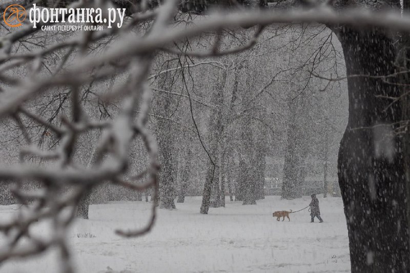 Иллюстрация 5