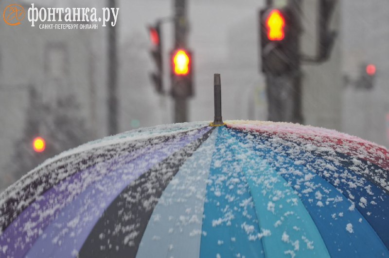 Иллюстрация 6