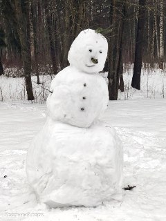 В Петербурге прошел фестиваль снеговиков