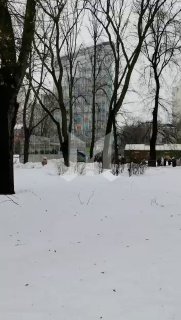 Иллюстрация 1