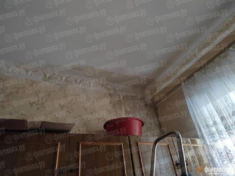 Иллюстрация 3