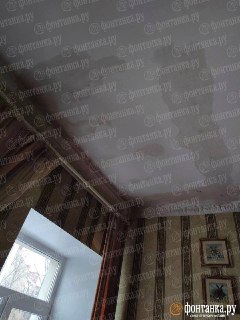 Иллюстрация 1